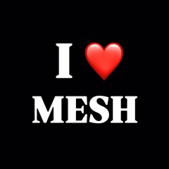 Mesh Boyz