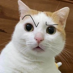 Nhatthieen