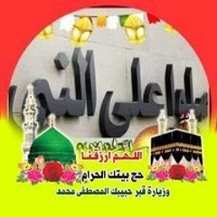 ضياء الحويطي