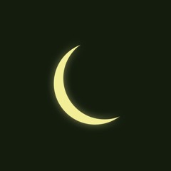 Lunar Flux