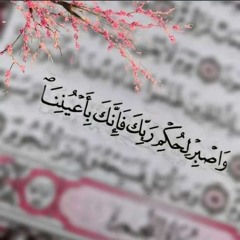 Shaimaa Ahmed