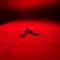 Rummy Red