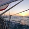 Literaturboot