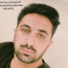 hamidreza_hajiakbari