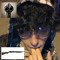xitheguy