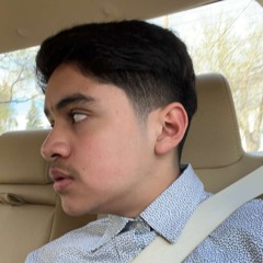 suicideferrari