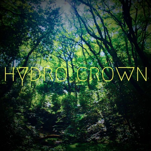 hydro crown’s avatar
