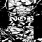 NOB 437