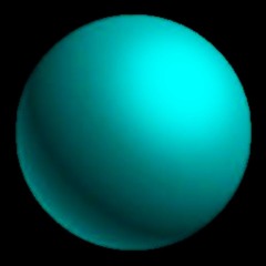 caroid