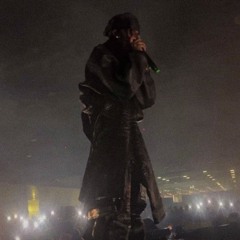 Пивной шершень