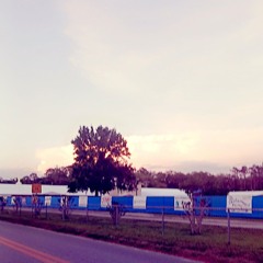 niya 🧛🏿‍♀️