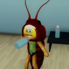 bj14/*
