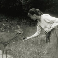Charlotte Parnell