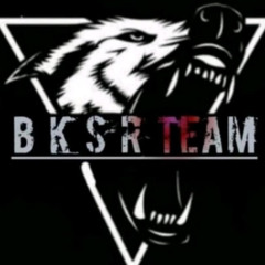 FROMM BKSR_TEAM