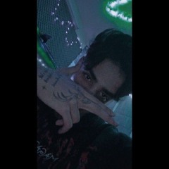 amir