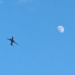 jmooney
