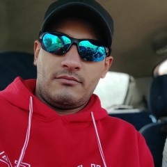 Parsa Alireza