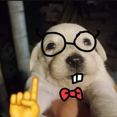 Mark.C