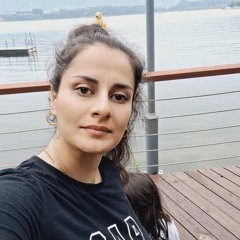 Shahin Aliabadi
