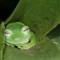 Zeitzauberin