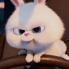 베릭