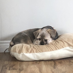 Odin