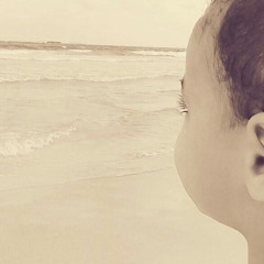 Mahmoud abd el razzak