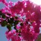 DR_ebrahim1370
