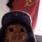 Absolutely Not Soviet spy