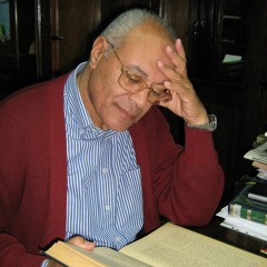 Mohamed Selim Elawa