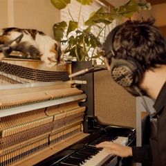 Mondo Loops Samples