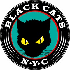 BLACK CATS NYC