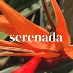 SERENADA