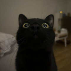 ひな