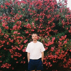 Tim Theo