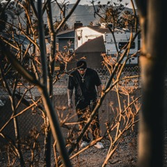 Tobi