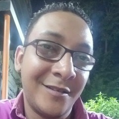 hossam