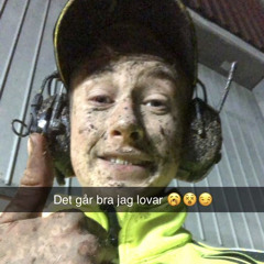 Marcus Pettersson