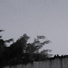 mwmw