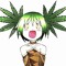 miamiami