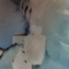 dieout