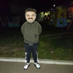 wasd (volodarsk gang)