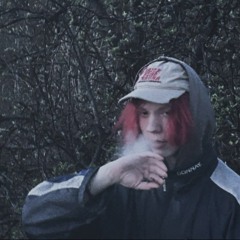 VIZG