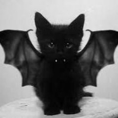 catbat