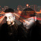 Hybrid Theory