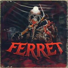 Ferret