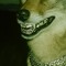 shikau