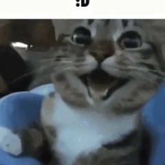 safadaplays