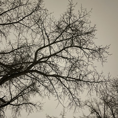 ALLSAINT