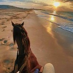 Amany Nabil